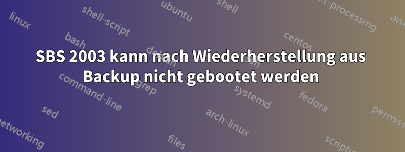 SBS 2003 kann nach Wiederherstellung aus Backup nicht gebootet werden