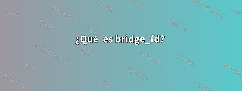 ¿Qué es bridge_fd?