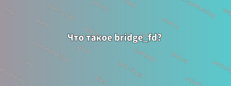 Что такое bridge_fd?