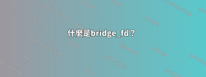 什麼是bridge_fd？