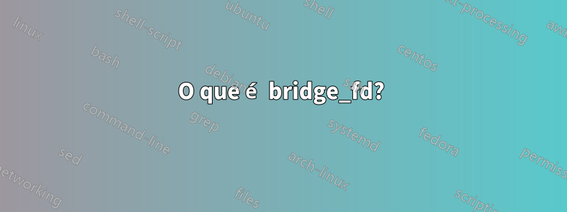 O que é bridge_fd?