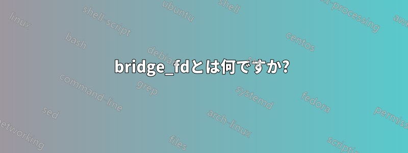 bridge_fdとは何ですか?