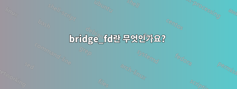 bridge_fd란 무엇인가요?