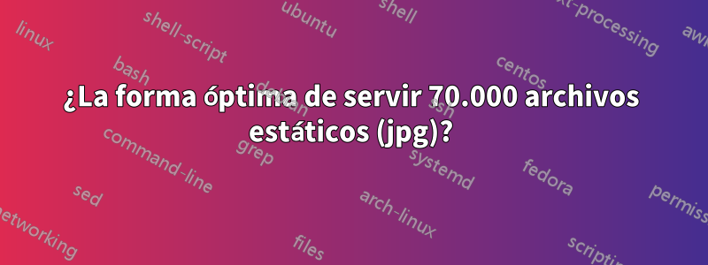 ¿La forma óptima de servir 70.000 archivos estáticos (jpg)?