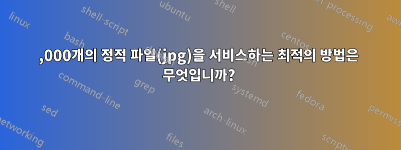 70,000개의 정적 파일(jpg)을 서비스하는 최적의 방법은 무엇입니까?