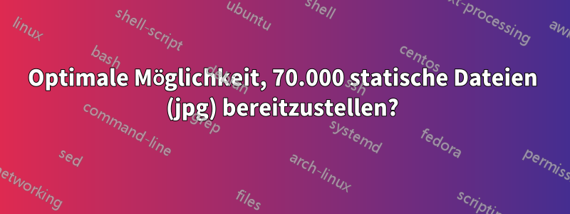 Optimale Möglichkeit, 70.000 statische Dateien (jpg) bereitzustellen?