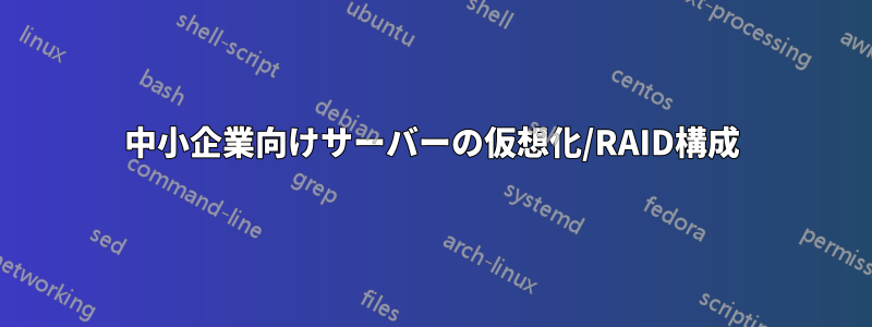 中小企業向けサーバーの仮想化/RAID構成