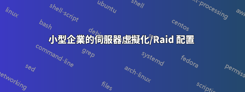 小型企業的伺服器虛擬化/Raid 配置