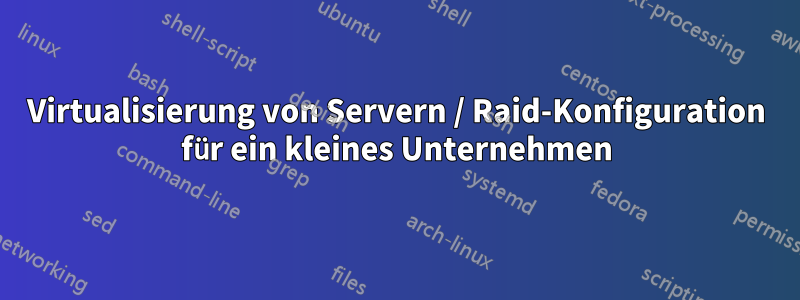 Virtualisierung von Servern / Raid-Konfiguration für ein kleines Unternehmen