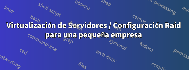 Virtualización de Servidores / Configuración Raid para una pequeña empresa