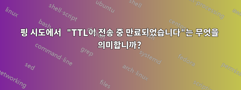 핑 시도에서 "TTL이 전송 중 만료되었습니다"는 무엇을 의미합니까?