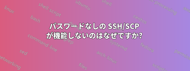 パスワードなしの SSH/SCP が機能しないのはなぜですか?