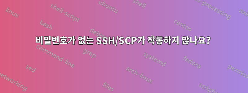 비밀번호가 없는 SSH/SCP가 작동하지 않나요?