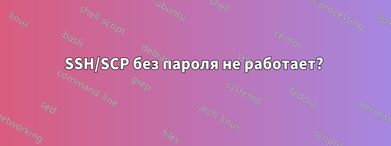 SSH/SCP без пароля не работает?