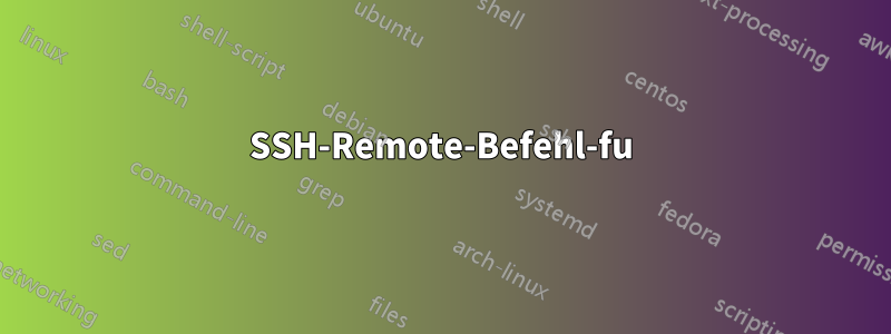 SSH-Remote-Befehl-fu