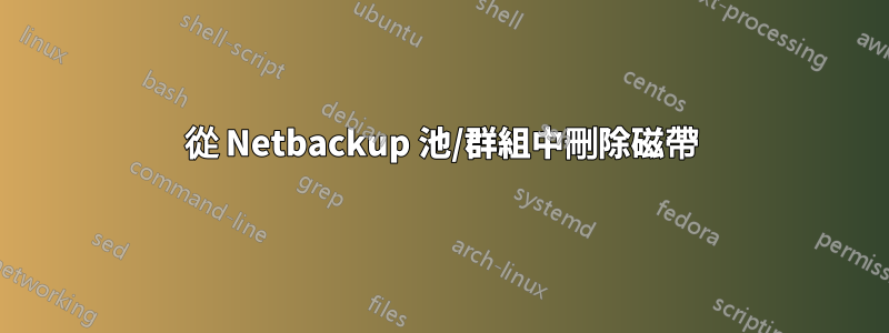 從 Netbackup 池/群組中刪除磁帶