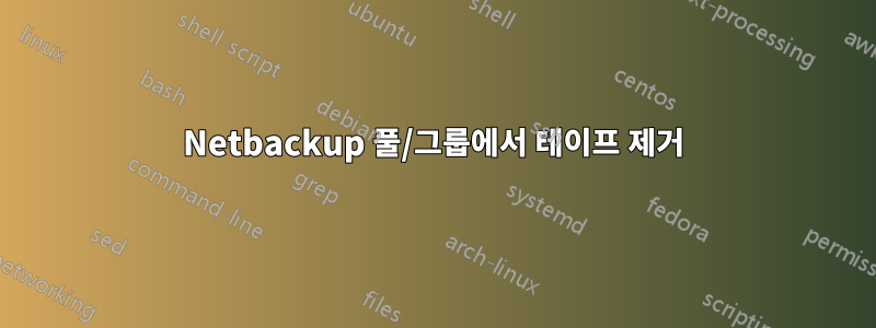 Netbackup 풀/그룹에서 테이프 제거