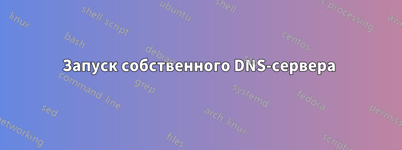 Запуск собственного DNS-сервера