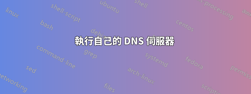 執行自己的 DNS 伺服器