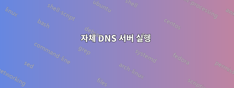 자체 DNS 서버 실행