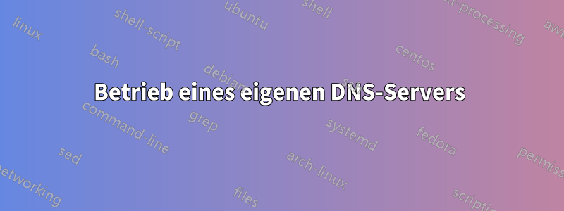 Betrieb eines eigenen DNS-Servers