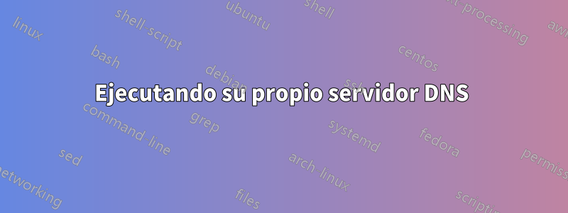 Ejecutando su propio servidor DNS