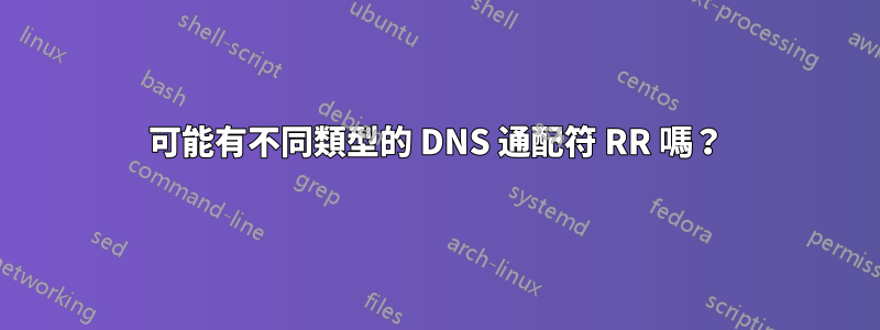 可能有不同類型的 DNS 通配符 RR 嗎？