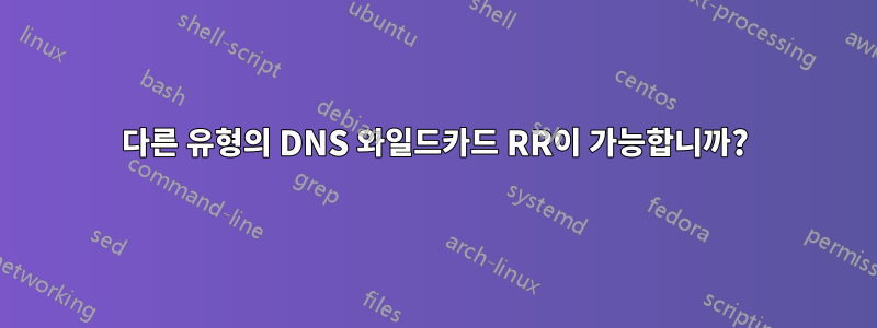 다른 유형의 DNS 와일드카드 RR이 가능합니까?