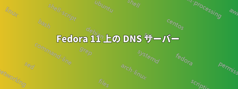 Fedora 11 上の DNS サーバー