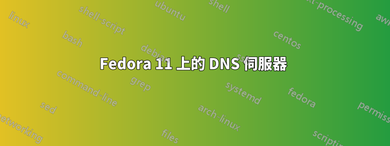 Fedora 11 上的 DNS 伺服器