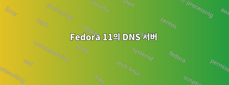 Fedora 11의 DNS 서버