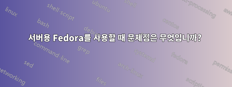 서버용 Fedora를 사용할 때 문제점은 무엇입니까?