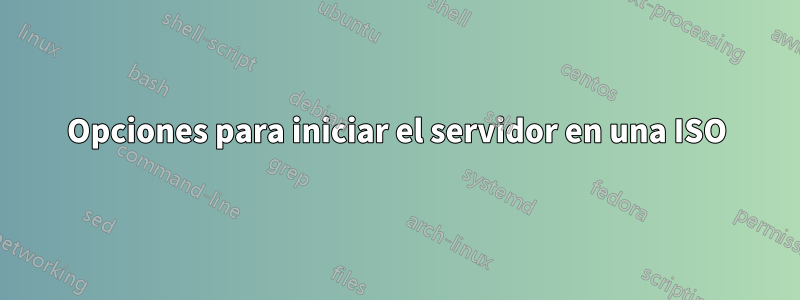 Opciones para iniciar el servidor en una ISO