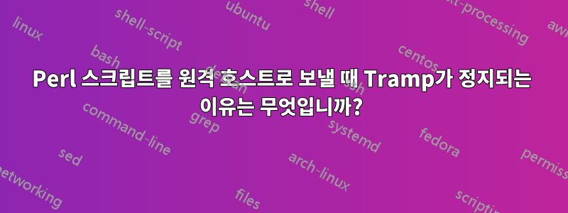 Perl 스크립트를 원격 호스트로 보낼 때 Tramp가 정지되는 이유는 무엇입니까?