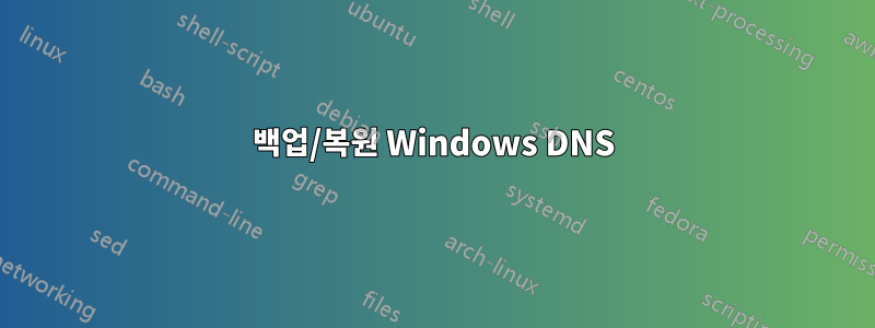 백업/복원 Windows DNS