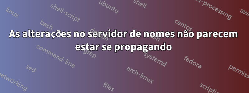 As alterações no servidor de nomes não parecem estar se propagando