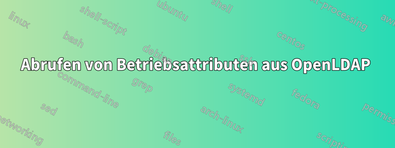 Abrufen von Betriebsattributen aus OpenLDAP