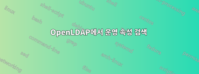 OpenLDAP에서 운영 속성 검색