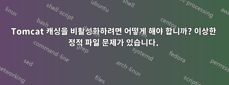 Tomcat 캐싱을 비활성화하려면 어떻게 해야 합니까? 이상한 정적 파일 문제가 있습니다.