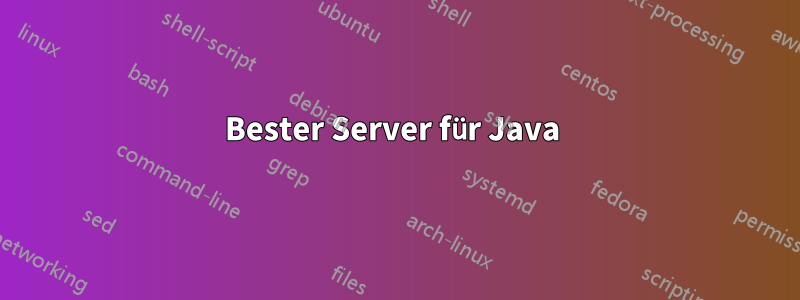 Bester Server für Java 