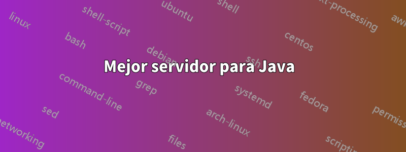 Mejor servidor para Java 