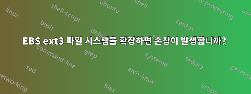 EBS ext3 파일 시스템을 확장하면 손상이 발생합니까?