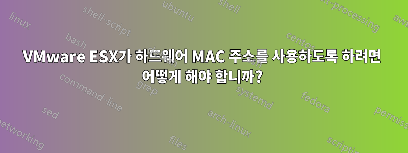 VMware ESX가 하드웨어 MAC 주소를 사용하도록 하려면 어떻게 해야 합니까?