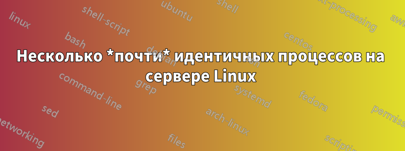 Несколько *почти* идентичных процессов на сервере Linux