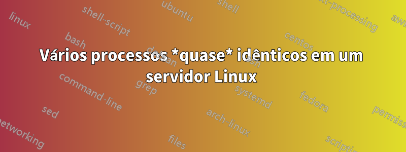 Vários processos *quase* idênticos em um servidor Linux