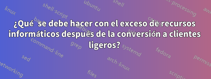 ¿Qué se debe hacer con el exceso de recursos informáticos después de la conversión a clientes ligeros?