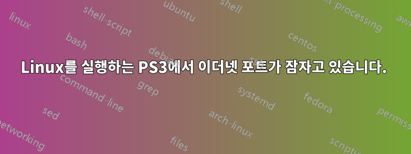 Linux를 실행하는 PS3에서 이더넷 포트가 잠자고 있습니다.