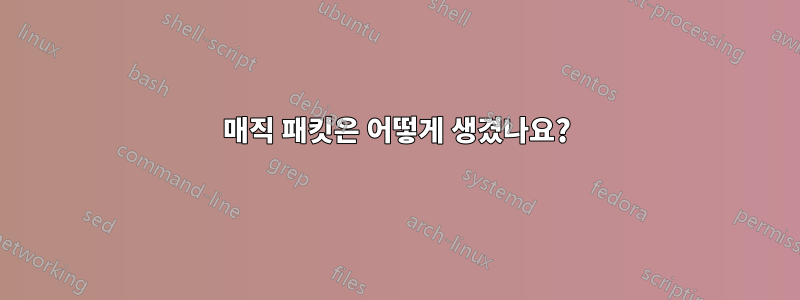 매직 패킷은 어떻게 생겼나요?