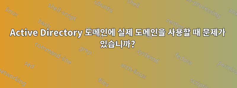 Active Directory 도메인에 실제 도메인을 사용할 때 문제가 있습니까?