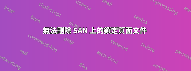 無法刪除 SAN 上的鎖定頁面文件